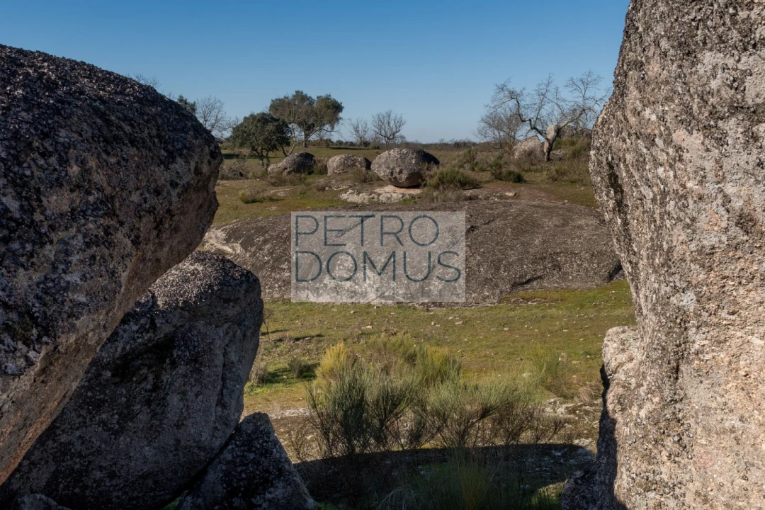 Quinta T5 para Venda em Tolosa Foto 134