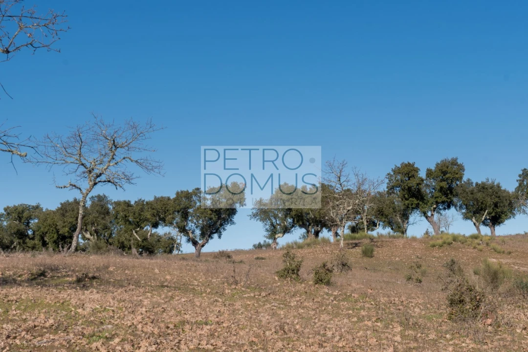 Quinta T5 para Venda em Tolosa Foto 137