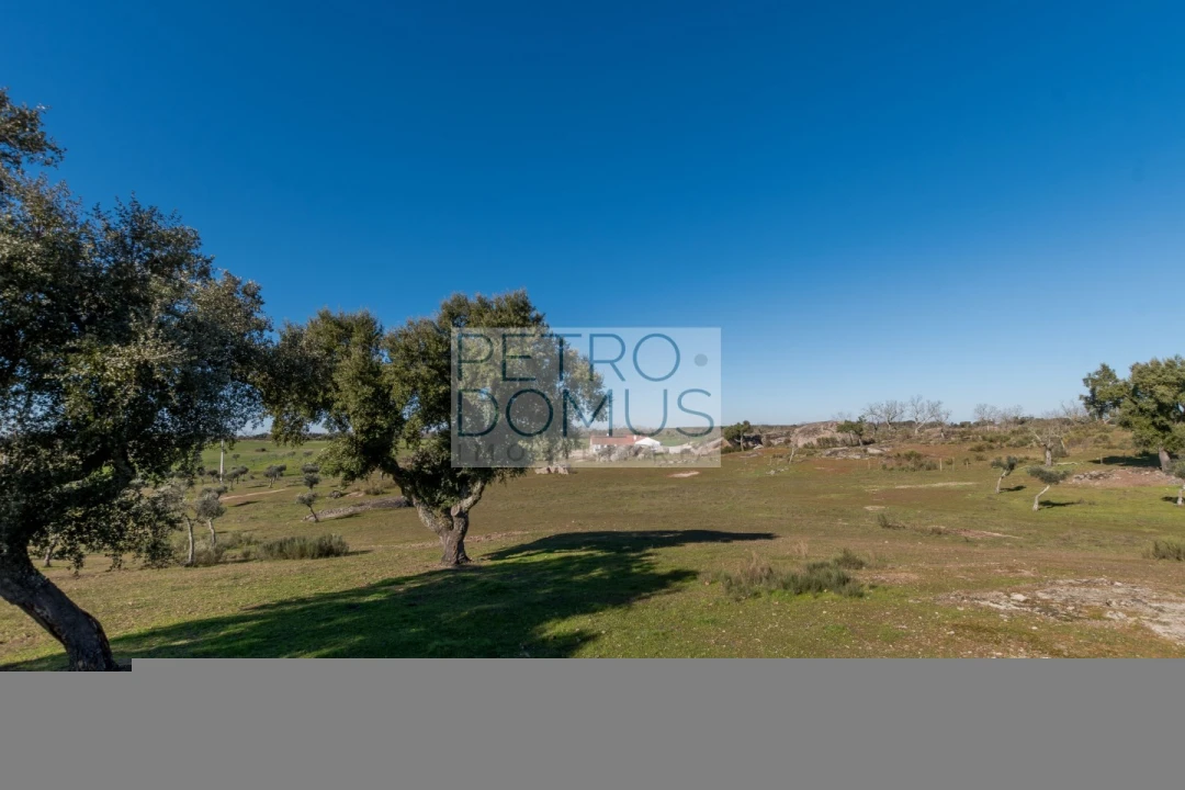 Quinta T5 para Venda em Tolosa Foto 143