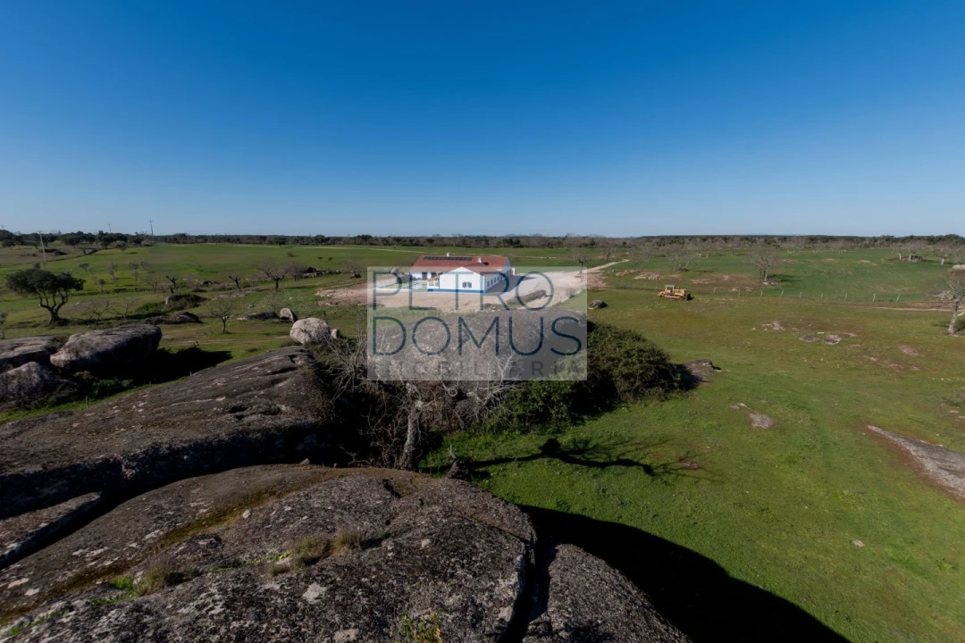 Quinta T5 para Venda em Tolosa Foto 148