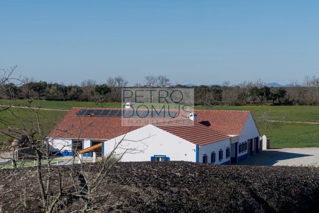 Quinta T5 para Venda em Tolosa Foto 151