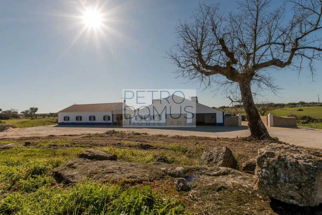 Quinta T5 para Venda em Tolosa Foto 154