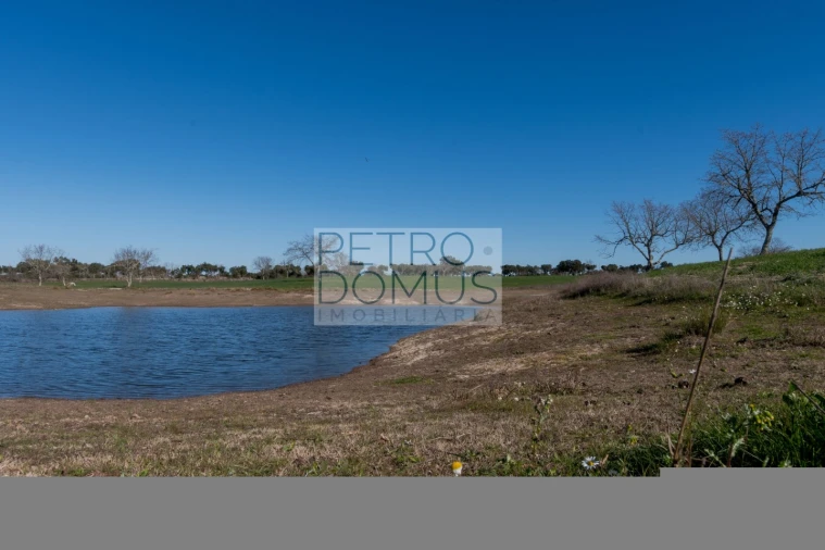 Quinta T5 para Venda em Tolosa Foto 107