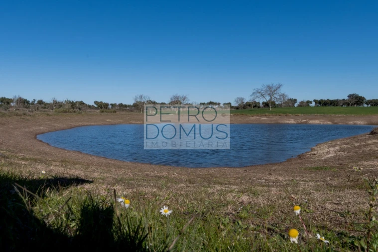 Quinta T5 para Venda em Tolosa Foto 108