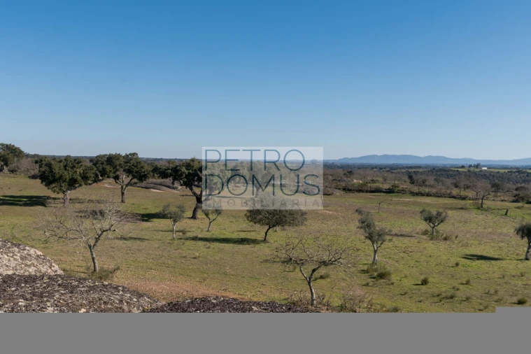 Quinta T5 para Venda em Tolosa Foto 129