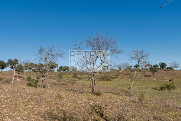 Quinta T5 para Venda em Tolosa Foto 135