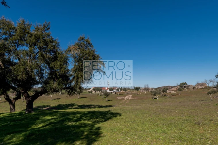 Quinta T5 para Venda em Tolosa Foto 141