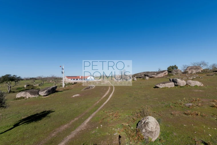 Quinta T5 para Venda em Tolosa Foto 145