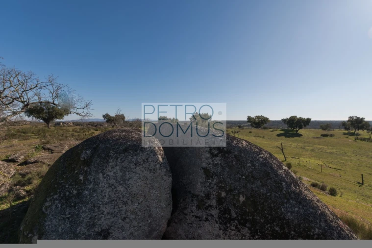 Quinta T5 para Venda em Tolosa Foto 146
