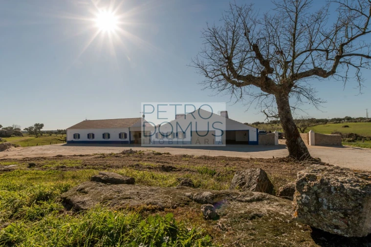 Quinta T5 para Venda em Tolosa Foto 154