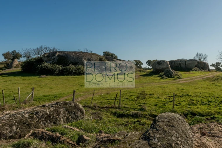 Quinta T5 para Venda em Tolosa Foto 158