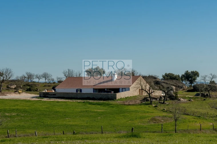 Quinta T5 para Venda em Tolosa Foto 164