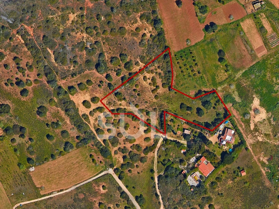 Terreno Agricola ou Rústico para Venda em Luz Foto 1
