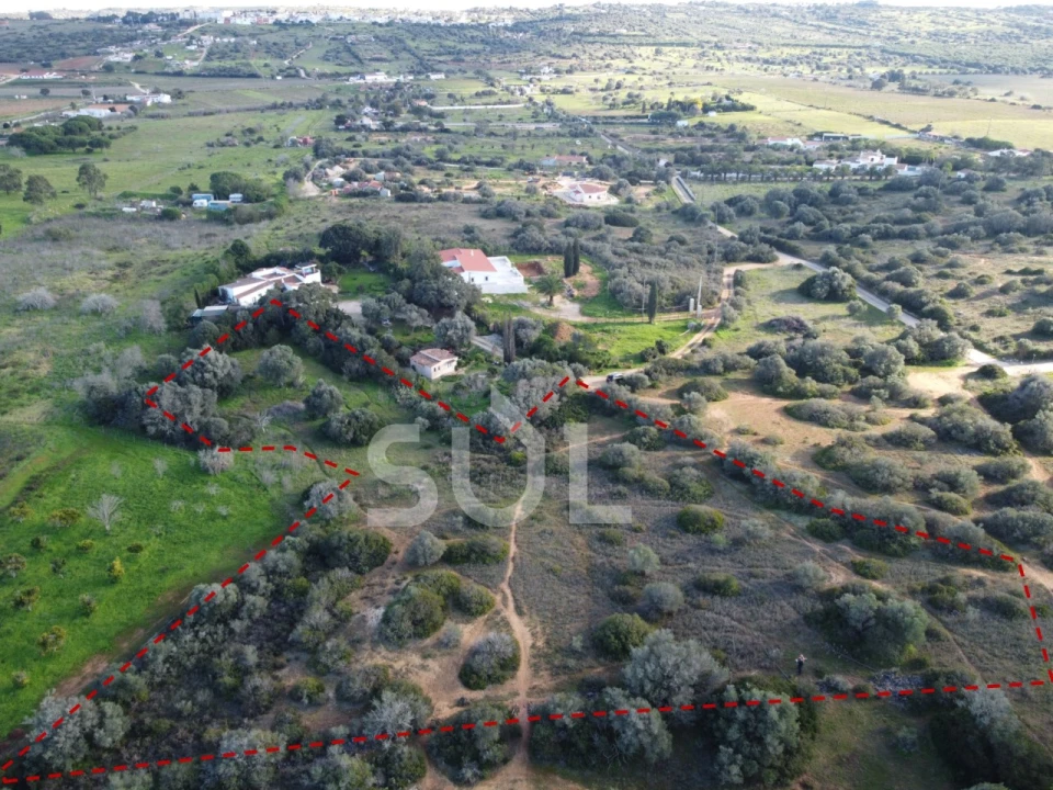 Terreno Agricola ou Rústico para Venda em Luz Foto 7