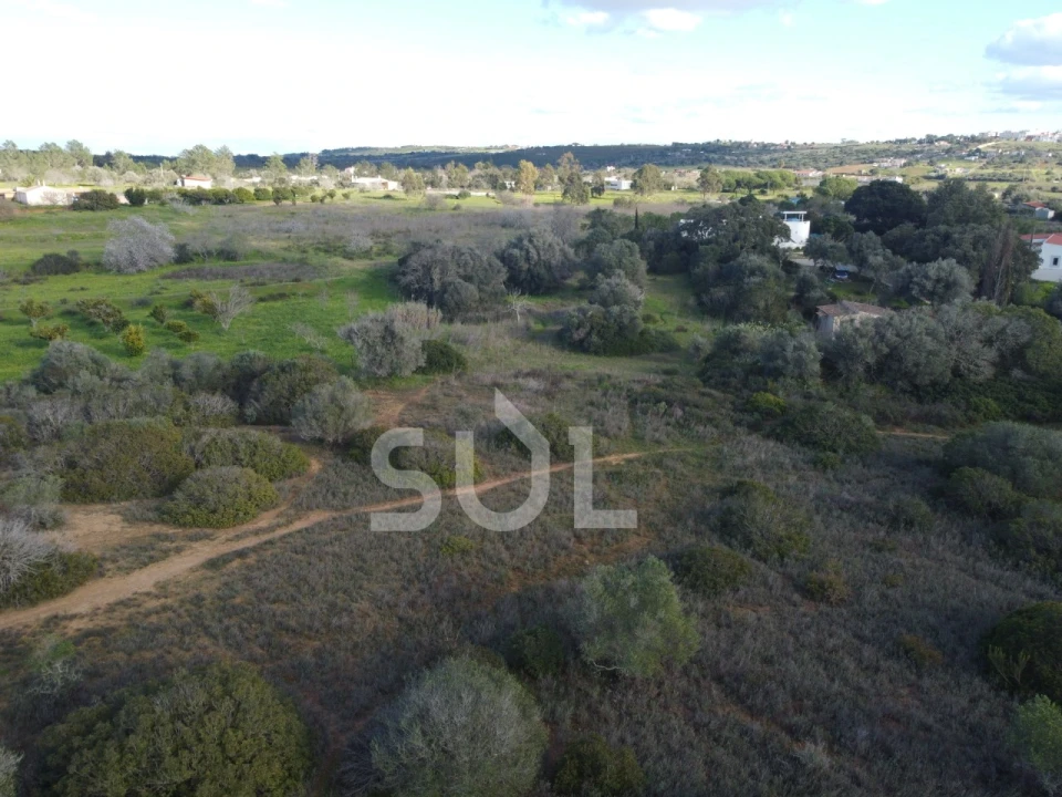Terreno Agricola ou Rústico para Venda em Luz Foto 9
