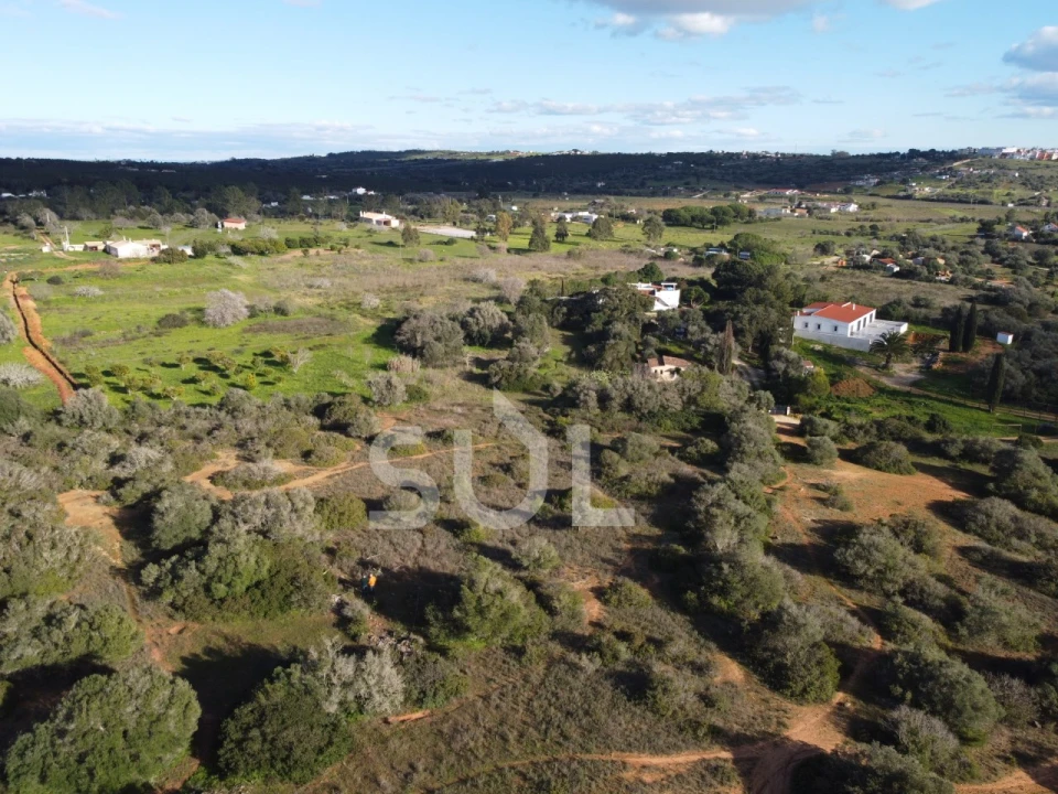 Terreno Agricola ou Rústico para Venda em Luz Foto 11