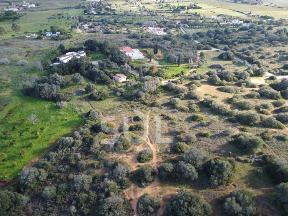 Terreno Agricola ou Rústico para Venda em Luz Foto 13