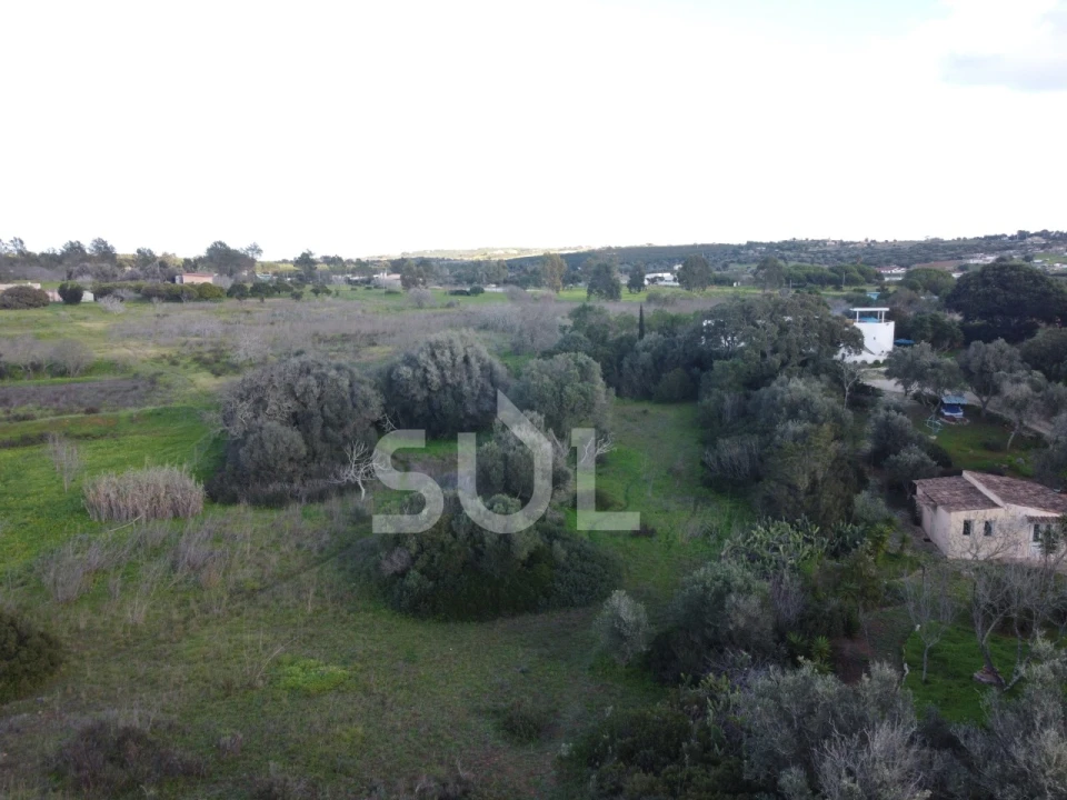 Terreno Agricola ou Rústico para Venda em Luz Foto 16