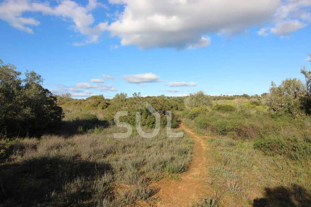 Terreno Agricola ou Rústico para Venda em Luz Foto 17