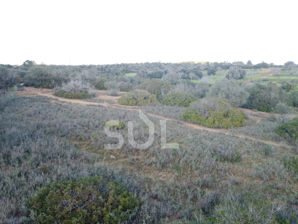 Terreno Agricola ou Rústico para Venda em Luz Foto 18