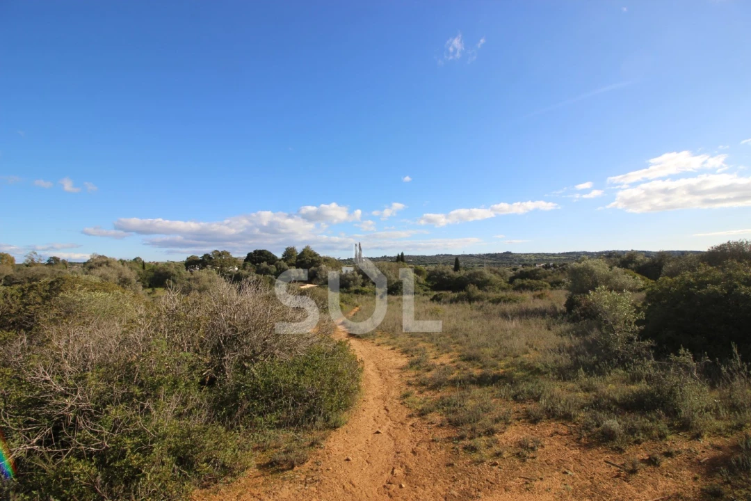 Terreno Agricola ou Rústico para Venda em Luz Foto 23