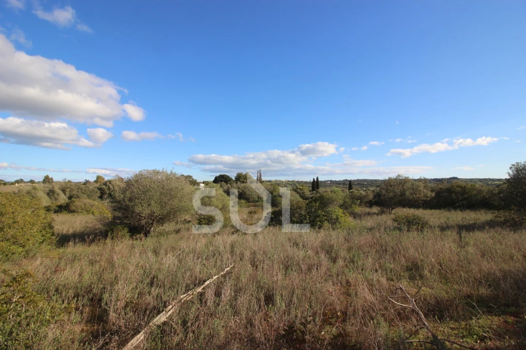 Terreno Agricola ou Rústico para Venda em Luz Foto 24