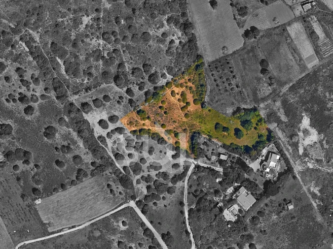 Terreno Agricola ou Rústico para Venda em Luz Foto 2