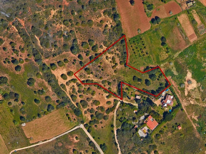 Terreno Agricola ou Rústico para Venda em Luz Planta 4