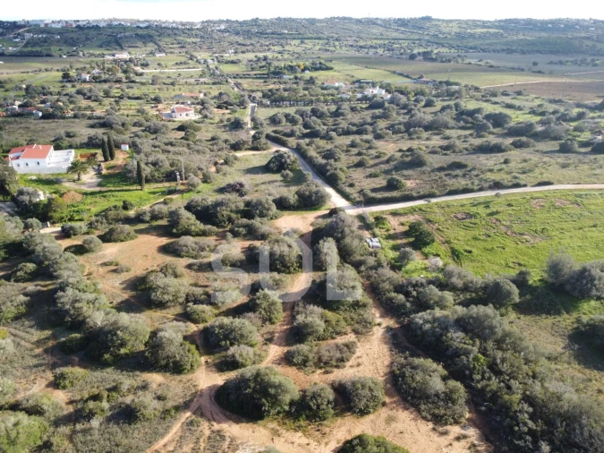Terreno Agricola ou Rústico para Venda em Luz Foto 12