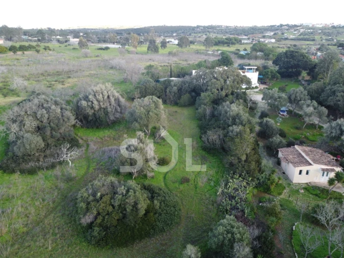 Terreno Agricola ou Rústico para Venda em Luz Foto 14