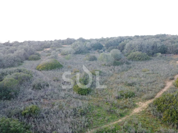 Terreno Agricola ou Rústico para Venda em Luz Foto 15