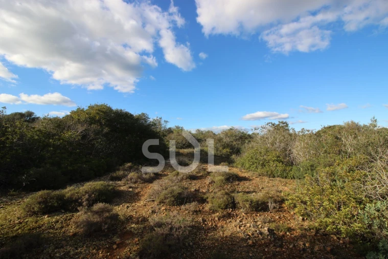 Terreno Agricola ou Rústico para Venda em Luz Foto 21