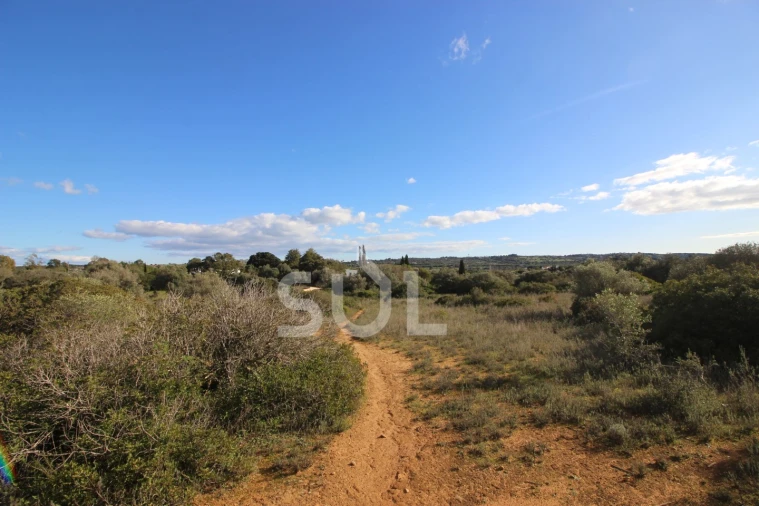 Terreno Agricola ou Rústico para Venda em Luz Foto 23