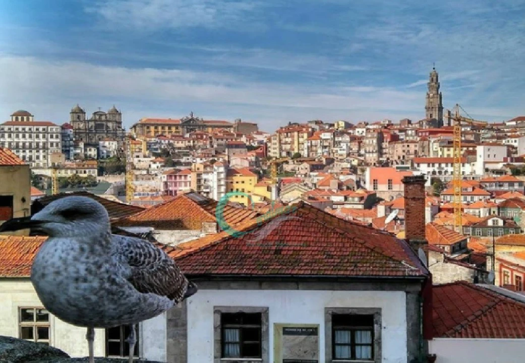 Apartamento para Venda em Bonfim Foto 12