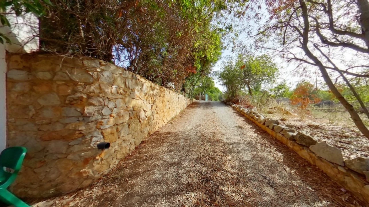 Quinta T11 para Venda em Luz de Tavira e Santo Estêvão Foto 19