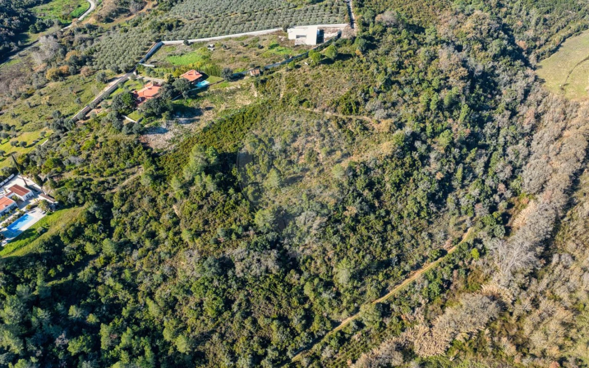 Terreno para Venda em Azoia de Cima e Tremês Foto 17