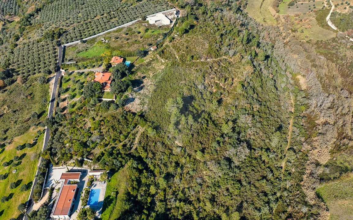 Terreno para Venda em Azoia de Cima e Tremês Foto 2