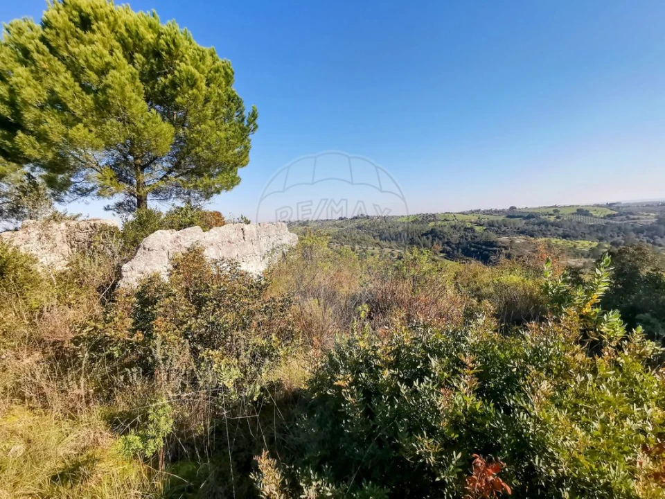 Terreno para Venda em Azoia de Cima e Tremês Foto 22