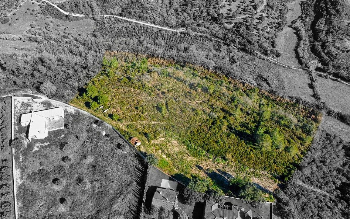Terreno para Venda em Azoia de Cima e Tremês Foto 5