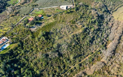 Terreno para Venda em Azoia de Cima e Tremês