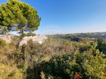 Terreno para Venda em Azoia de Cima e Tremês