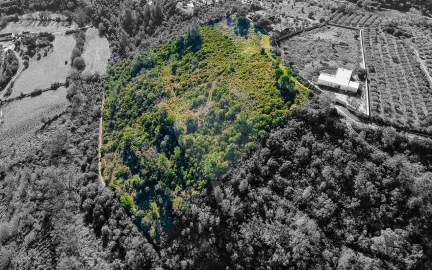 Terreno para Venda em Azoia de Cima e Tremês