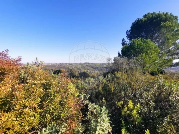 Terreno para Venda em Azoia de Cima e Tremês