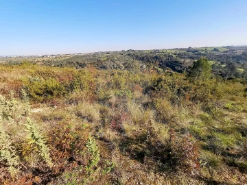 Terreno para Venda em Azoia de Cima e Tremês