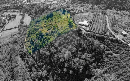 Terreno para Venda em Azoia de Cima e Tremês