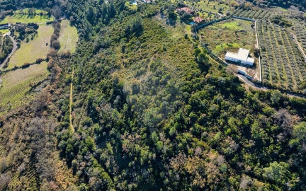 Terreno para Venda em Azoia de Cima e Tremês