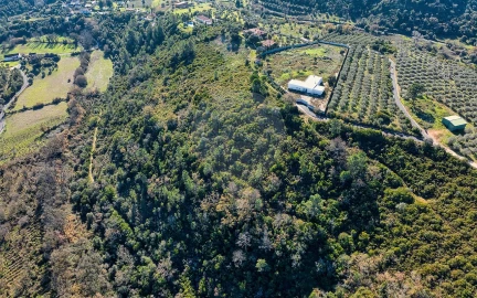 Terreno para Venda em Azoia de Cima e Tremês