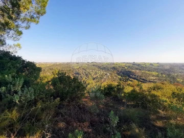 Terreno para Venda em Azoia de Cima e Tremês