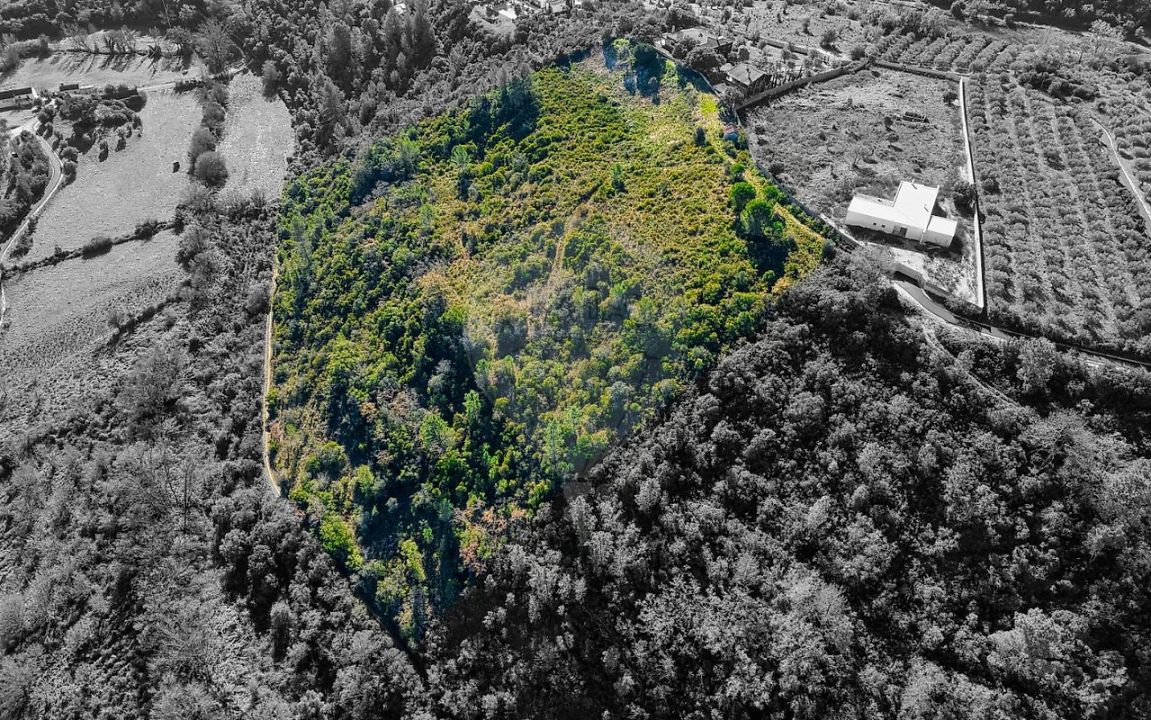 Terreno para Venda em Azoia de Cima e Tremês Foto 11