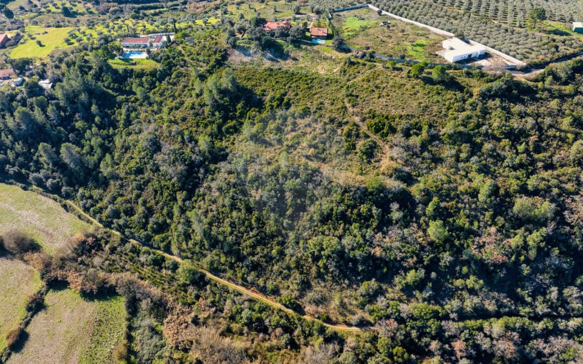 Terreno para Venda em Azoia de Cima e Tremês Foto 16